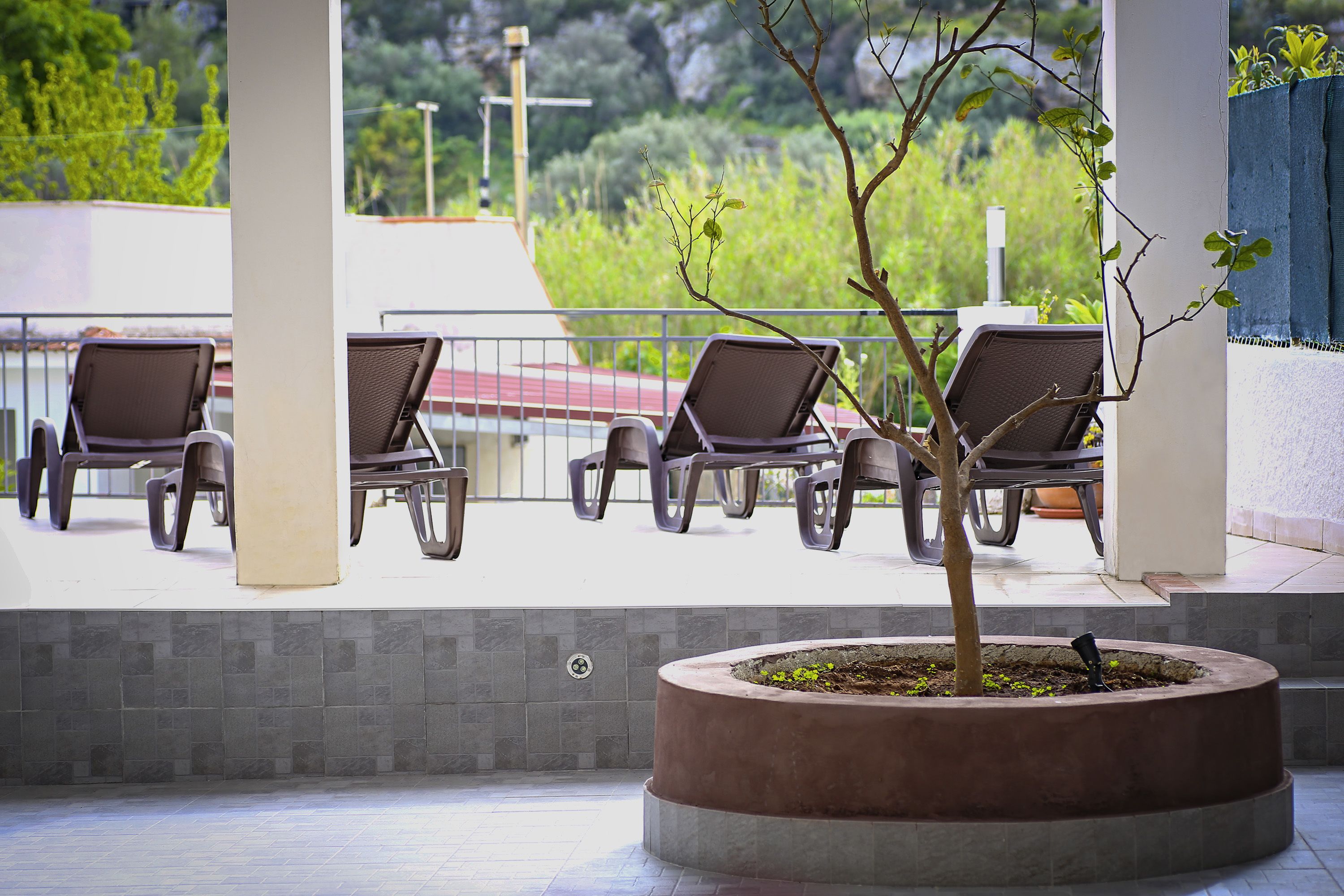 Área da propriedade