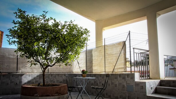 A patio area with a tree, a small table with a potted plant, and a pair of chairs. - B&B Solarium (Noto)