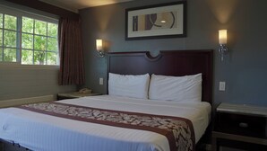 A hotel room with a large bed, a bedside table with a lamp, a window with curtains, and a framed picture on the wall.