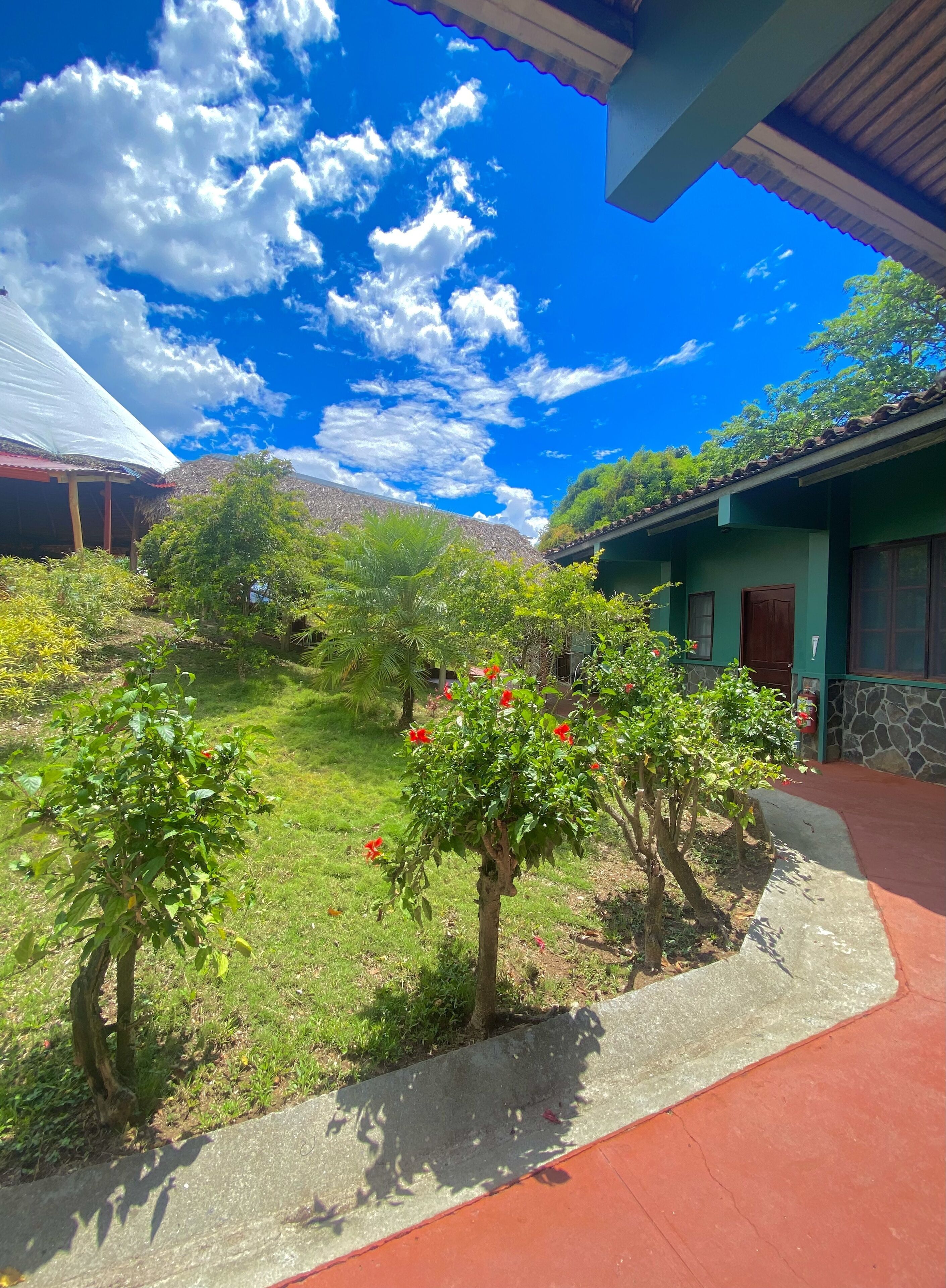 A courtyard with a red pathway, green foliage, and a clear blue sky.