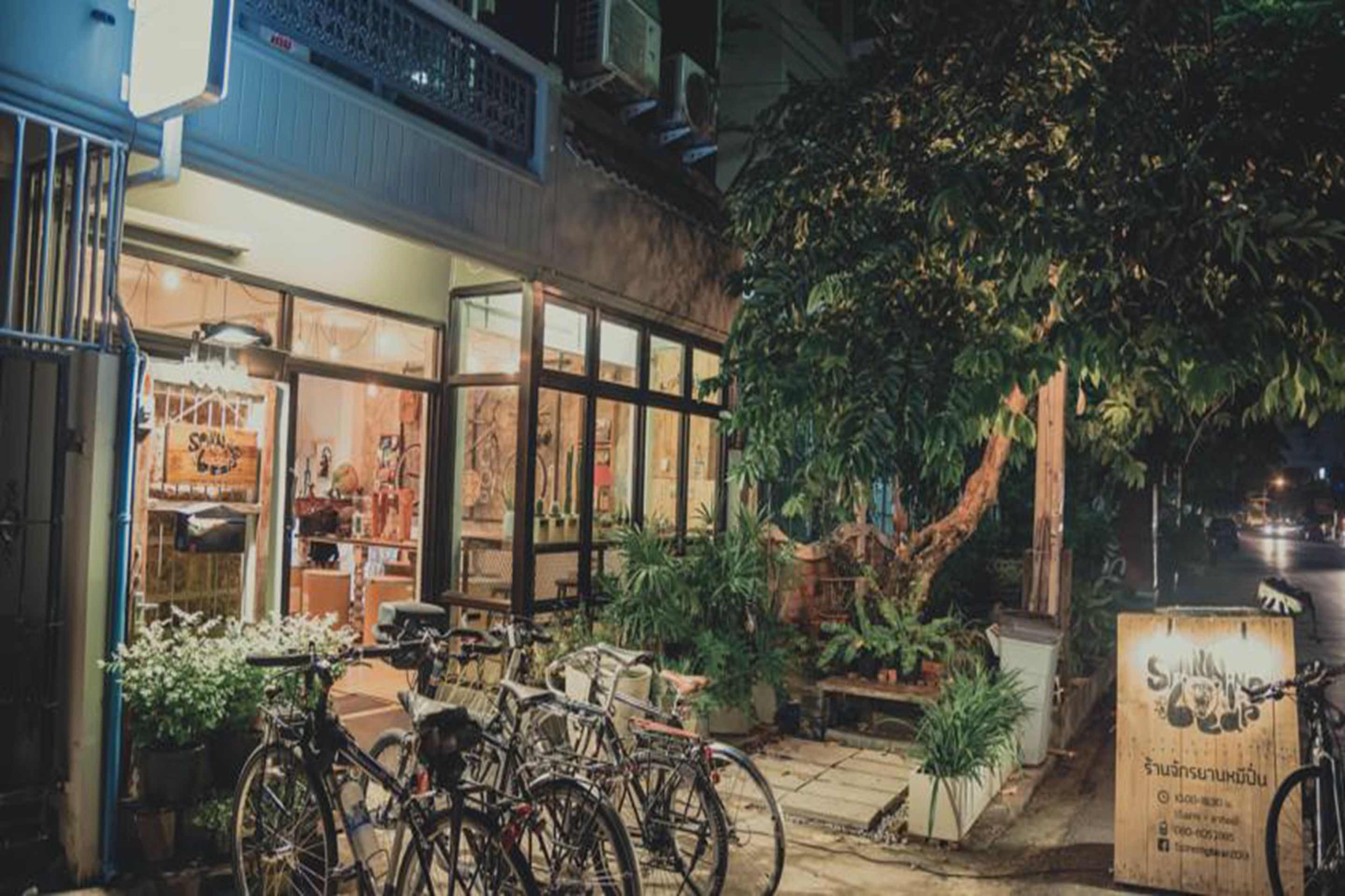 A restaurant with outdoor seating, bicycles, and a large tree.