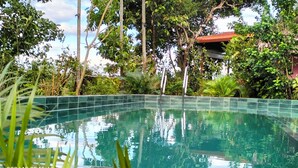 Une piscine entourée d’une végétation luxuriante et de grands arbres.