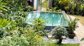 A rectangular pool with a glass bottom, surrounded by lush greenery and potted plants. - La Terrazza (Da Nang)