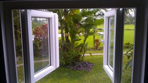 Une fenêtre donnant sur un jardin.