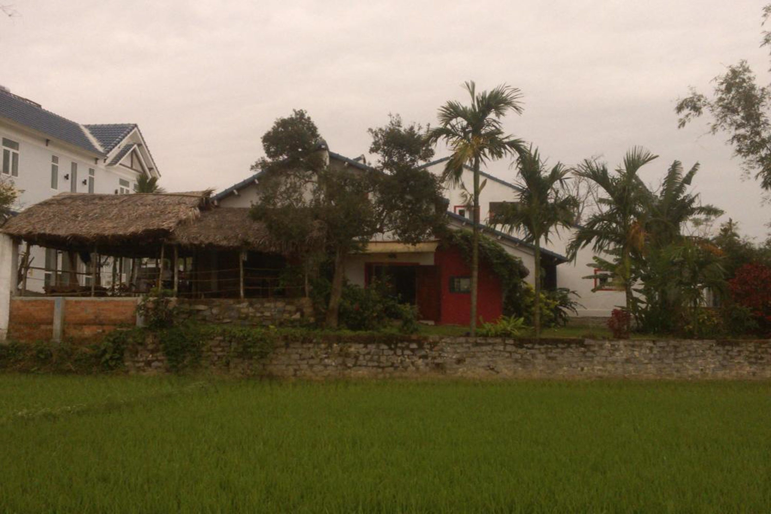 A rural house with a thatched roof, surrounded by a stone wall and lush greenery.