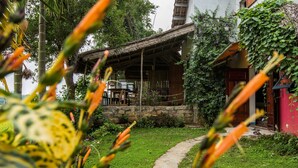 Un bâtiment rustique en bois, doté d’un toit de chaume, entouré d’une végétation luxuriante et bordé d’un sentier en pierre.