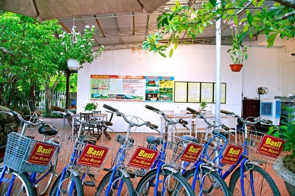 Photo - Basil Homestay