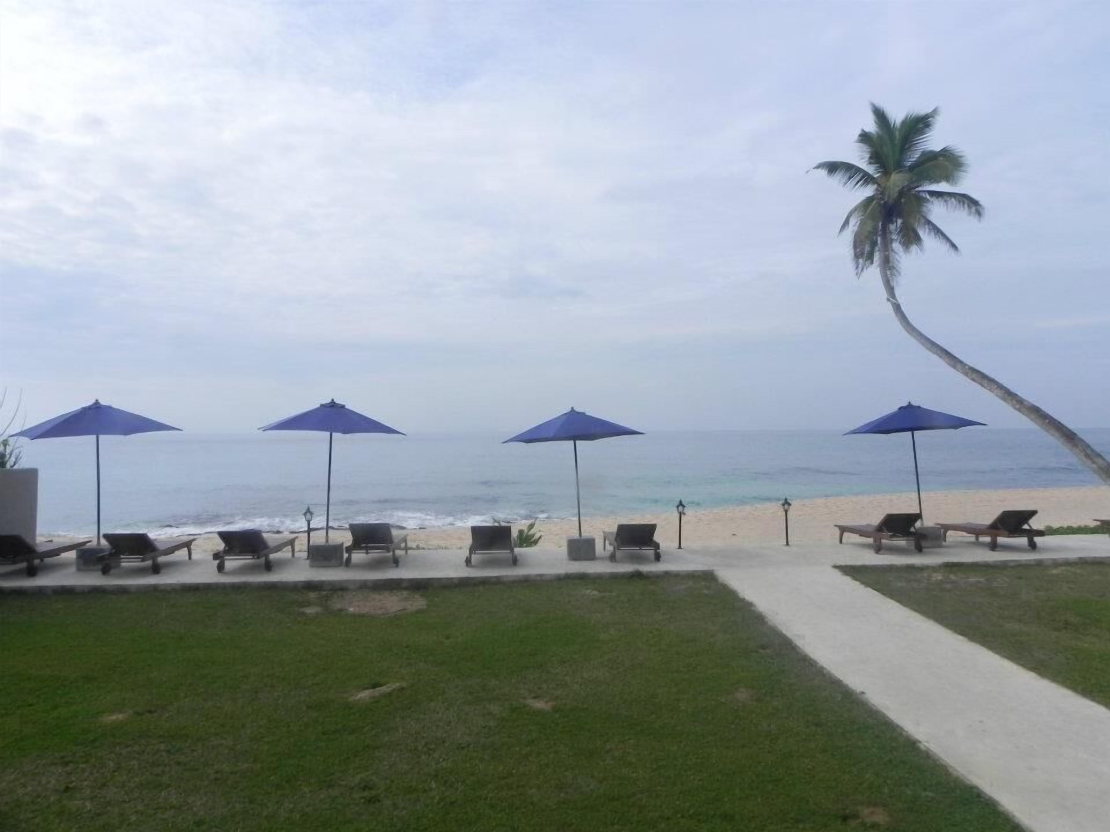 A beachside lounge area with lounge chairs and umbrellas, a palm tree, and a view of the ocean.