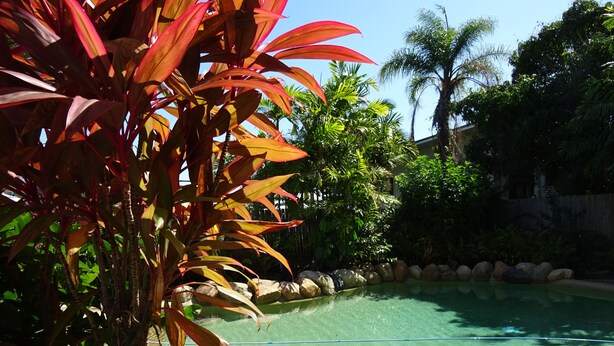 A clear swimming pool surrounded by tropical plants and rocks. - Angelwaters (North Ward)