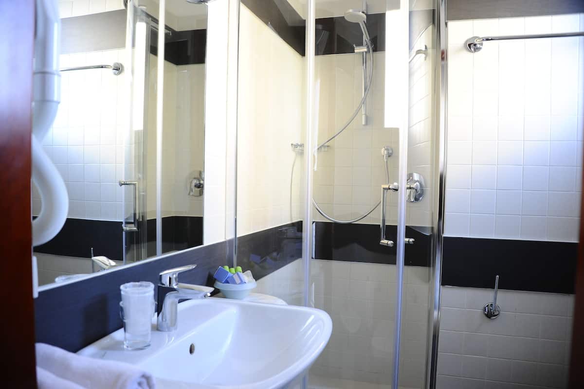 shower, free toiletries, hair dryer, bidet