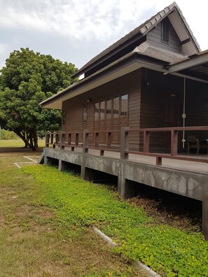 A wooden building with a covered walkway, large windows, and a tree in the background. - Phutawanpundao (Mae Taeng)