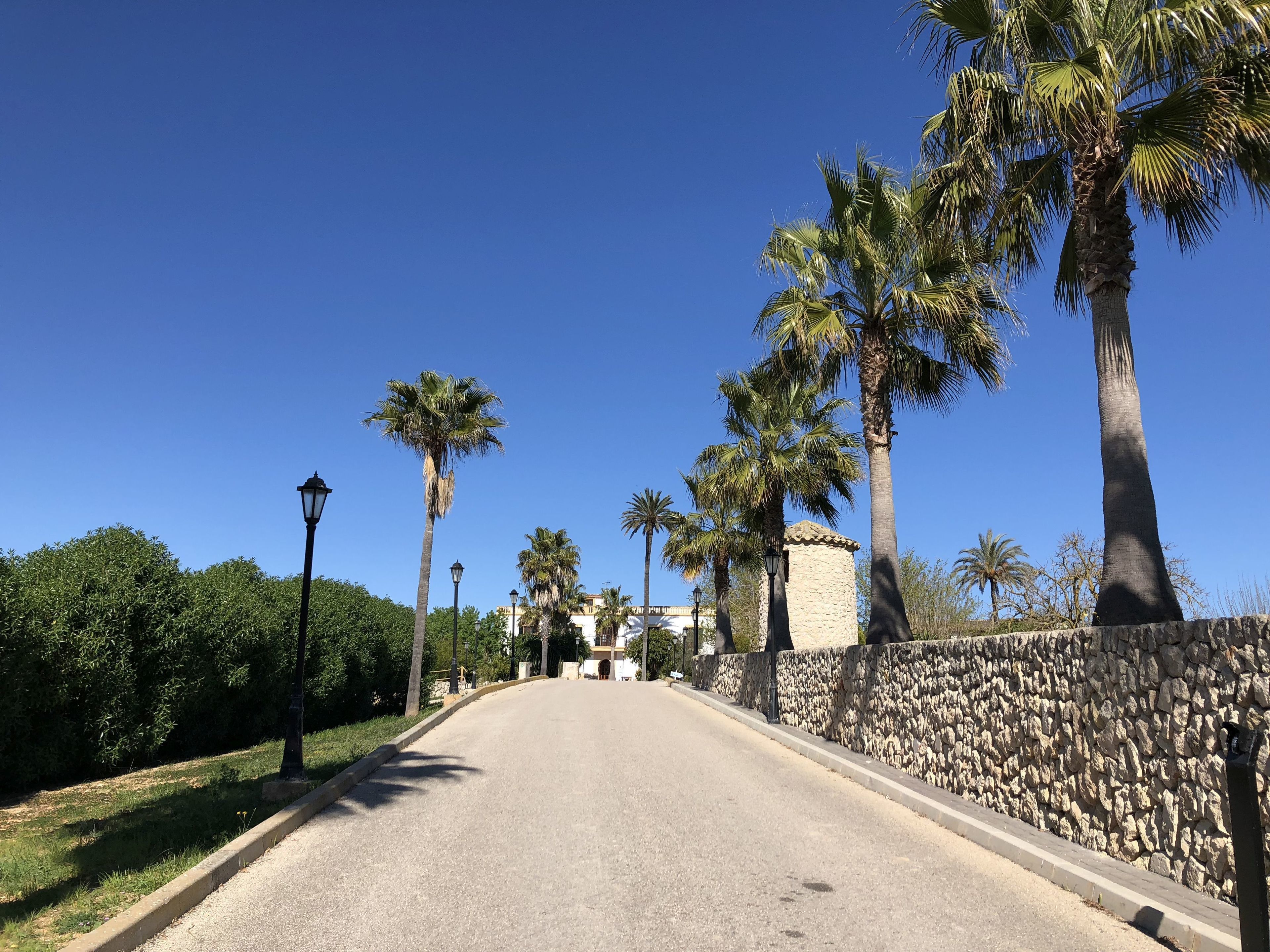 Foto - Finca Son Manera