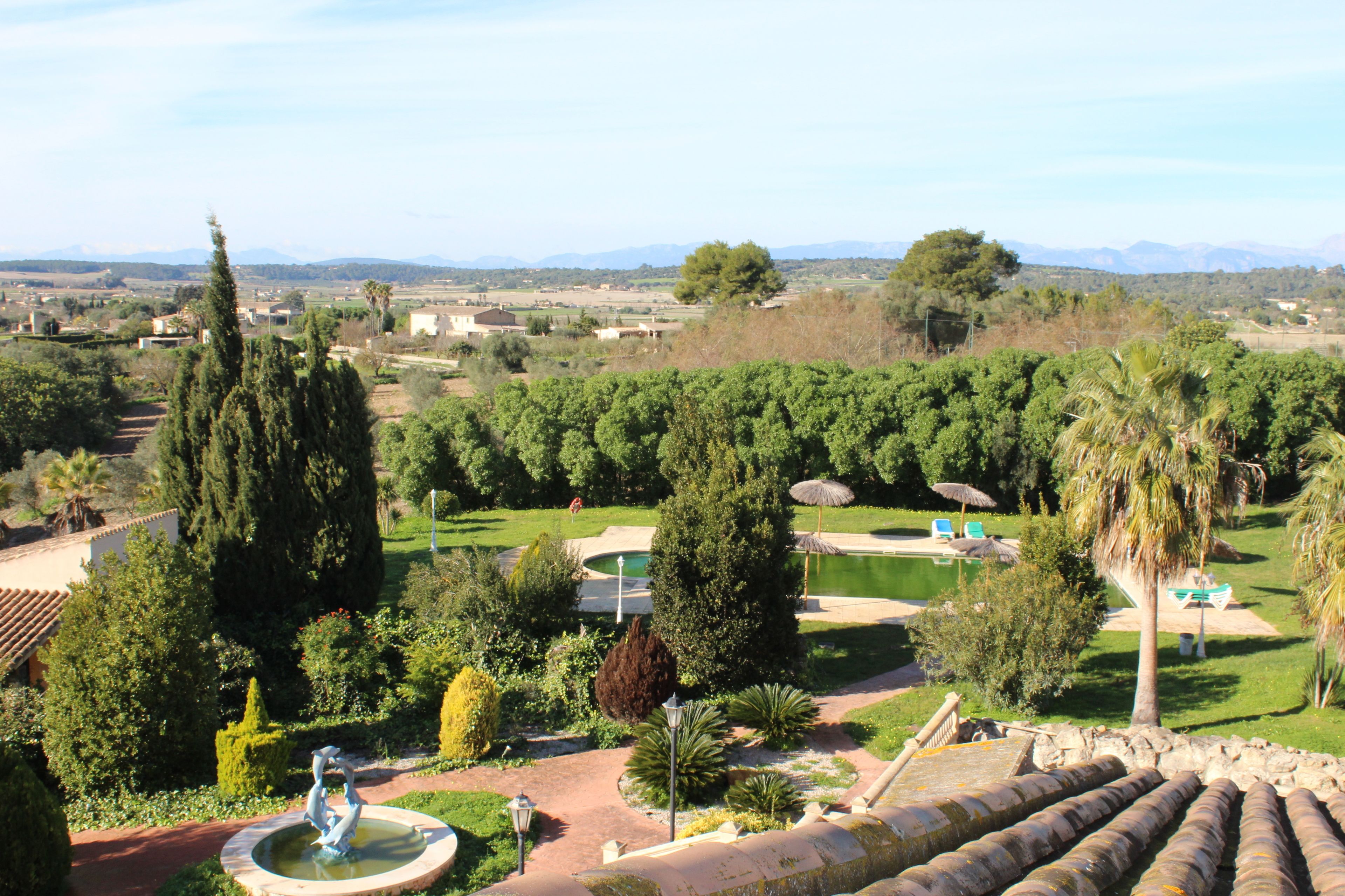 Un jardín ajardinado con una fuente, palmeras y una zona de piscina.