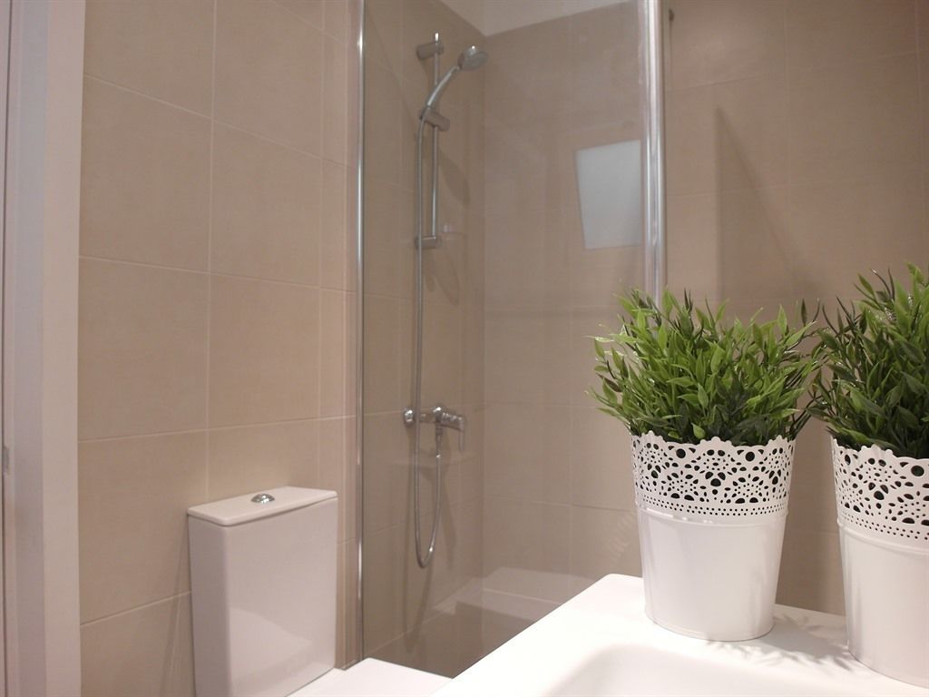 Casa de banho com cabine de duche em vidro, sanita e duas plantas em vasos sobre o lavatório.