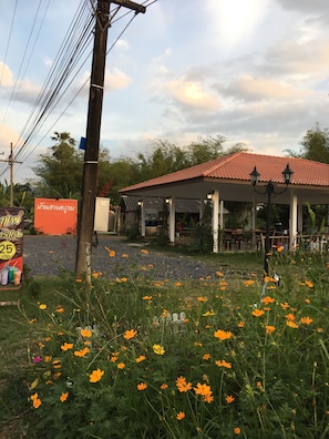Property grounds - Ban Suan Kru Kob (Pak Phli)