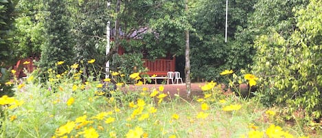 Giardino