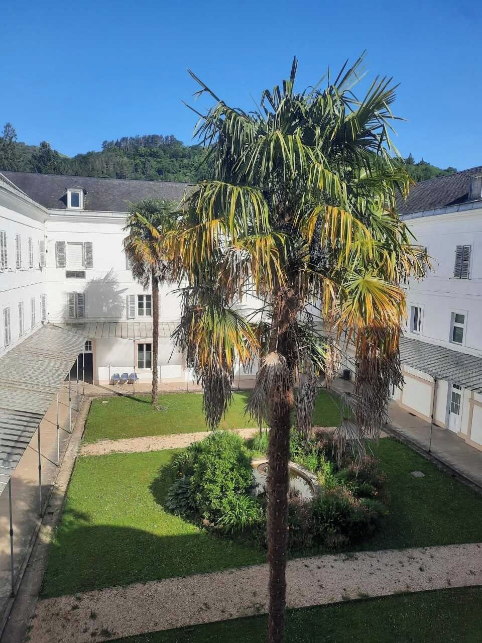A courtyard with a palm tree, a small pond, and a building with a white facade and multiple windows.