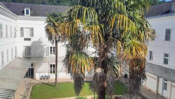 A courtyard with a palm tree, a small pond, and a building with a white facade and multiple windows.
