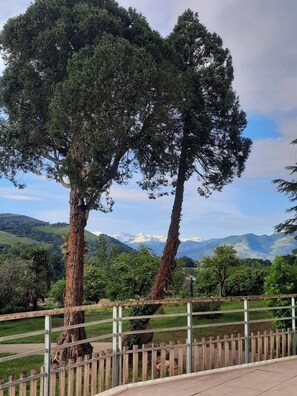 A fenced outdoor area with two prominent trees and a view of distant mountains. - Domaine Agerria (Mauleon-Licharre)