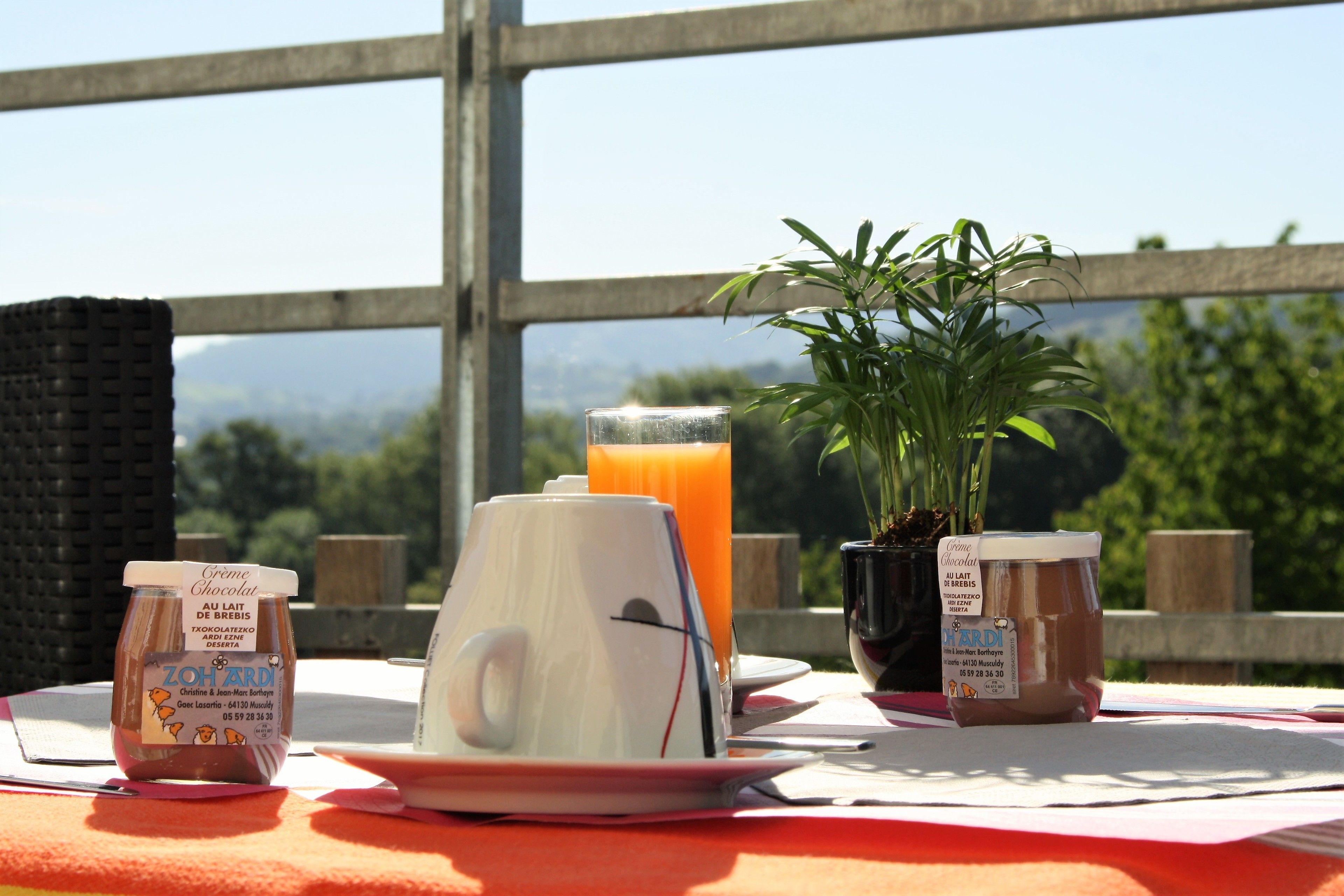 daily buffet breakfast (eur 12 per person)