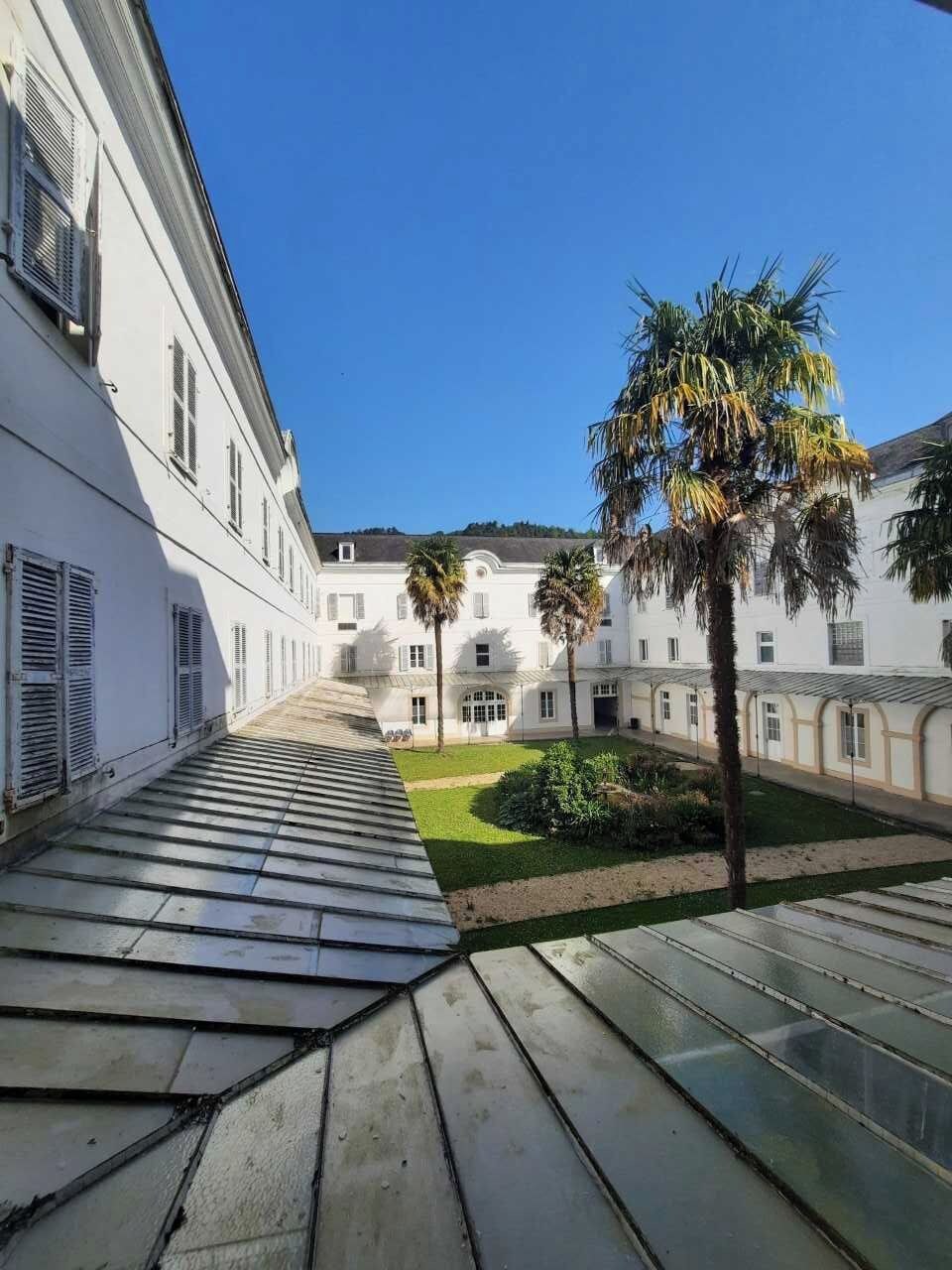 A courtyard with a paved walkway, palm trees, and a white building with multiple windows.