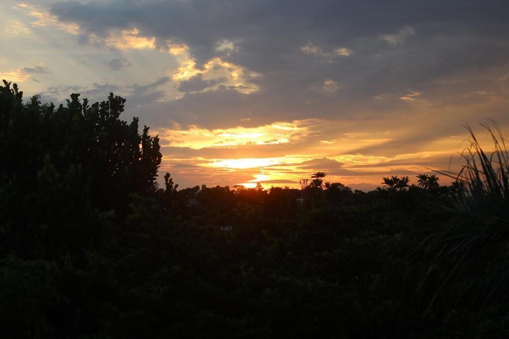 A sunset with a silhouette of trees and a clear sky.