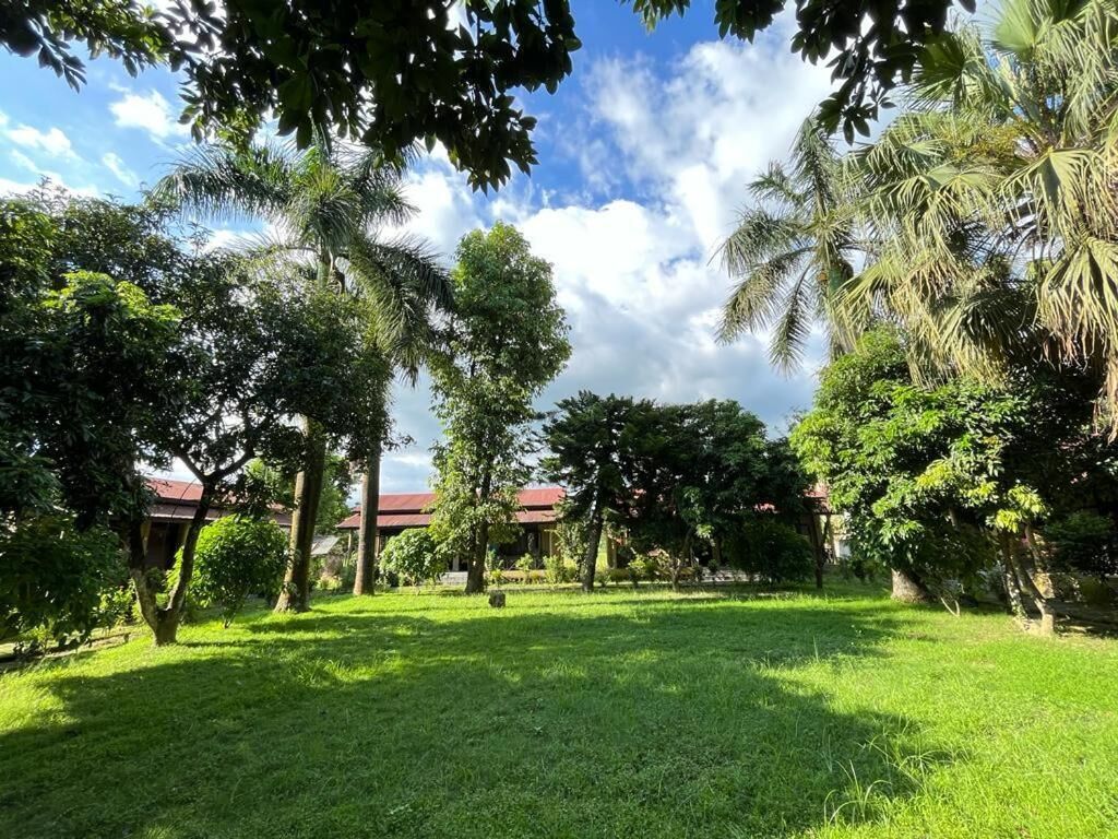 A lush green lawn with trees and a building with a red roof in the background.