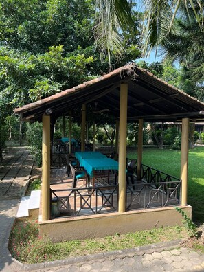 TV - Tiger Residency Resort (Sauraha)