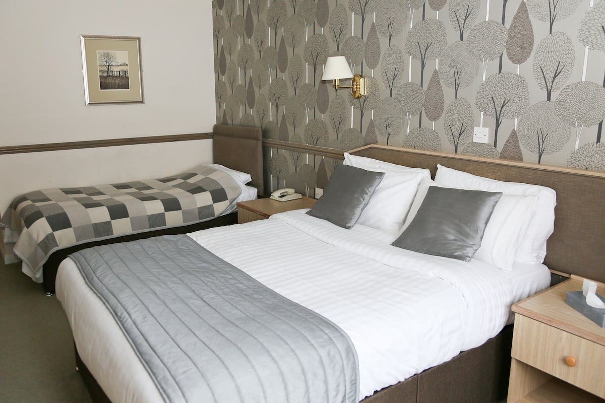 A hotel room with a large bed, a smaller bed, a nightstand with a lamp, and a wall with a tree pattern.