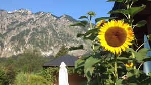 A mountain backdrop with a sunflower in the foreground. - Gasthof Schorn (Groedig)