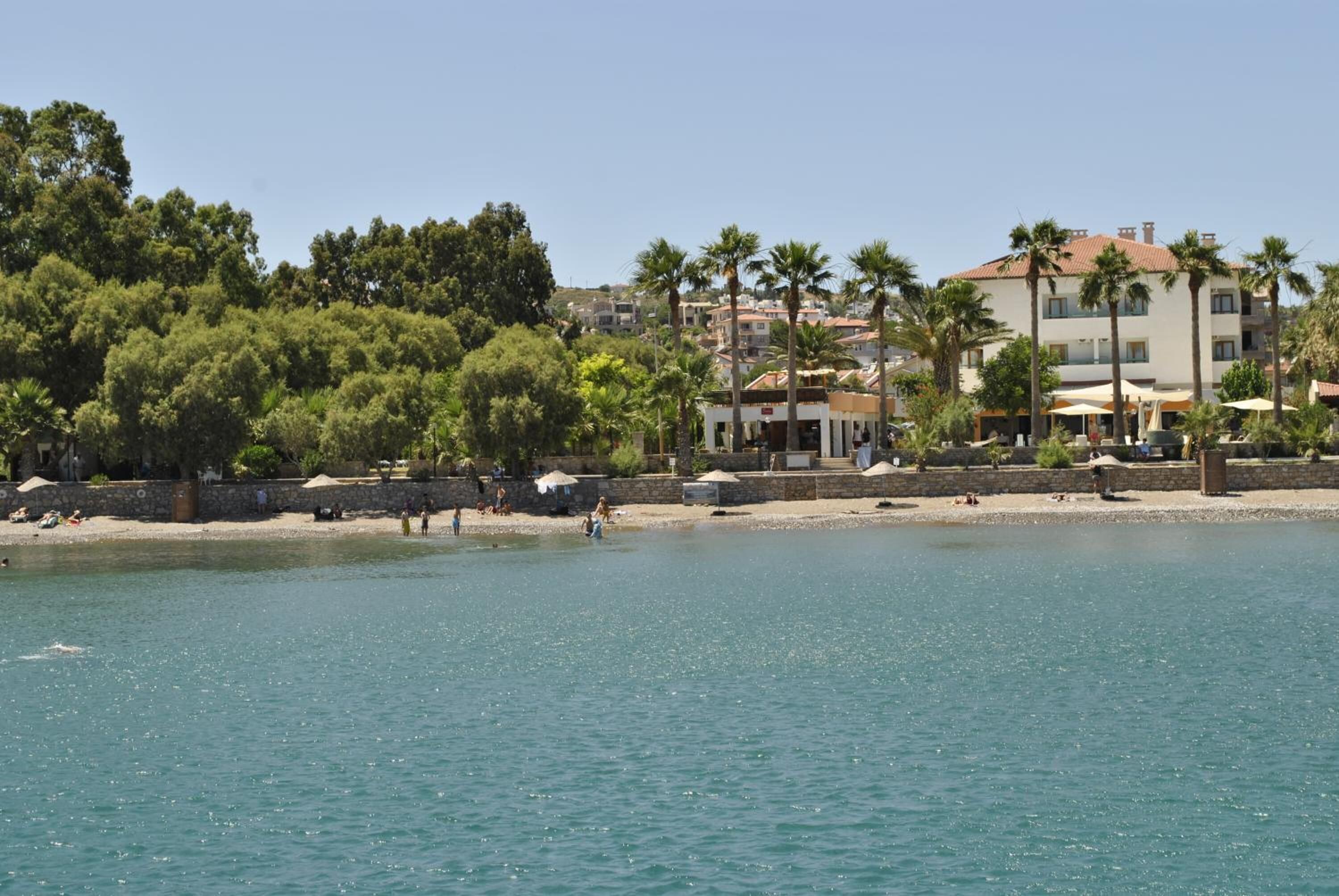 Un hotel frente al mar, con vista a la playa, palmeras y un muro de piedra.
