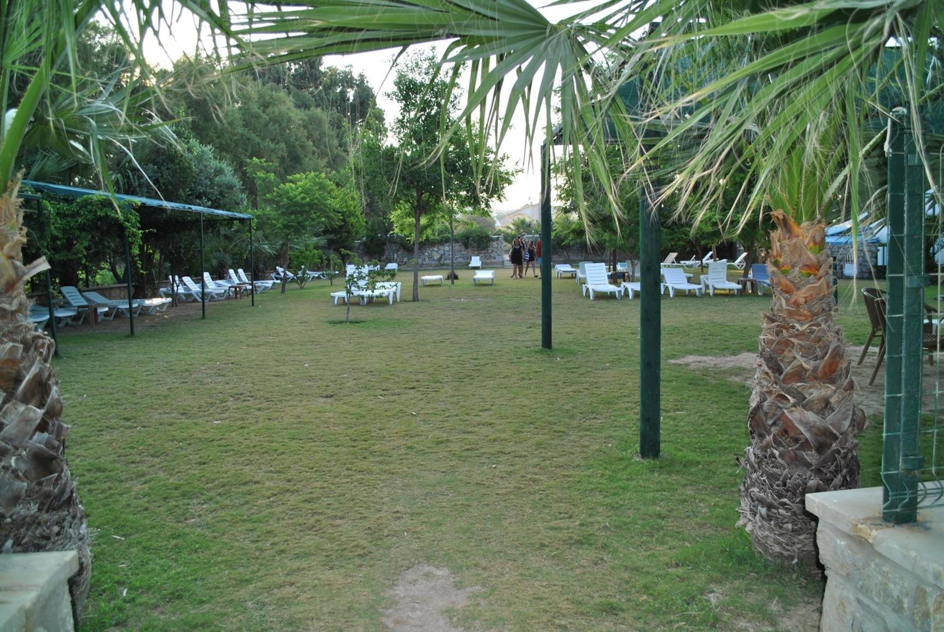A grassy outdoor area with white lounge chairs and tables, surrounded by trees and a palm tree.