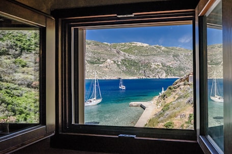 ํธ๋๋์
๋ ๋ํ๋ ์ค, ์นจ์ค 1๊ฐ | ์๋ฐ ์์ค์ ์ ๋ง