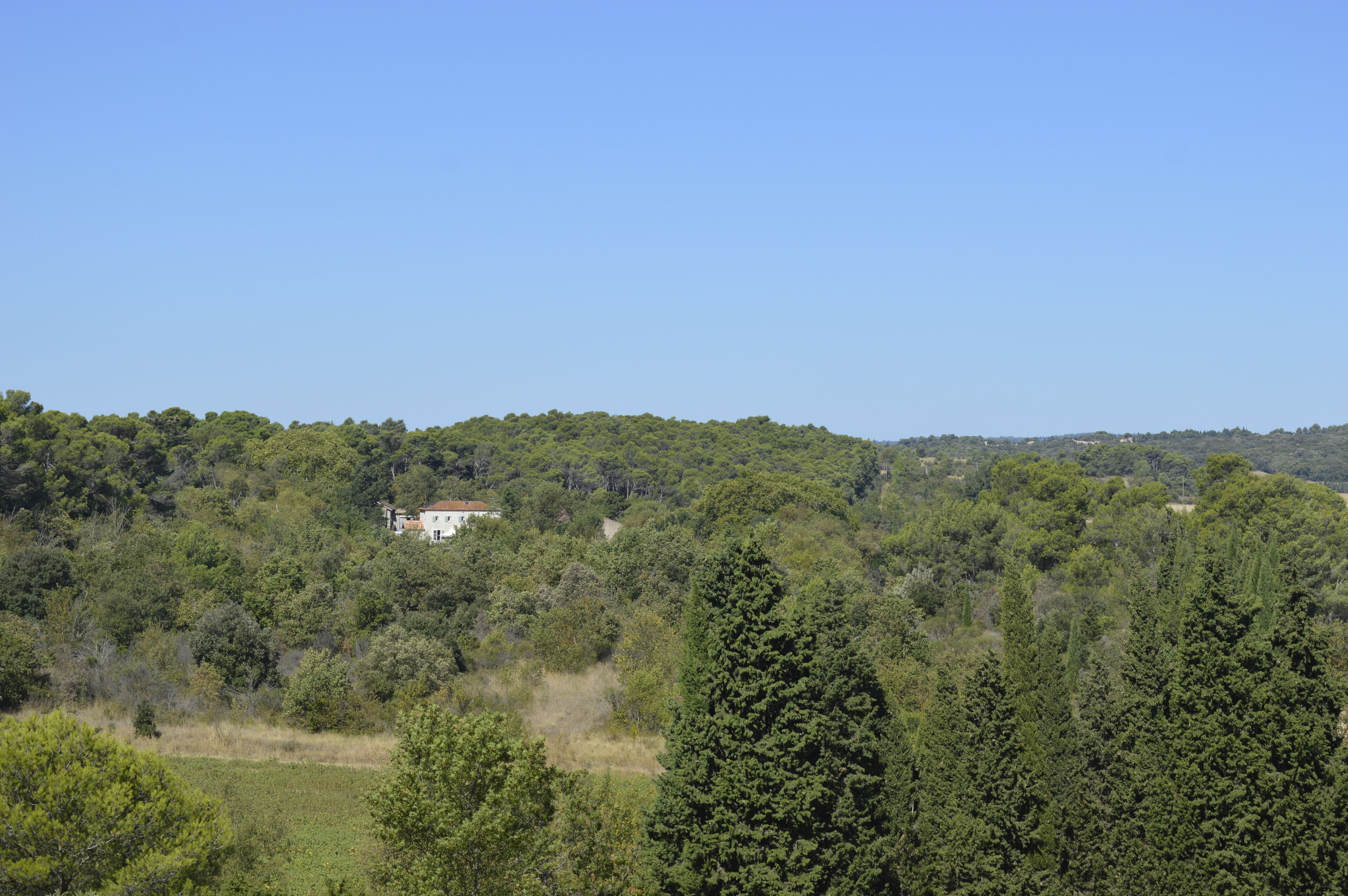 A rural landscape with a house surrounded by dense forest.