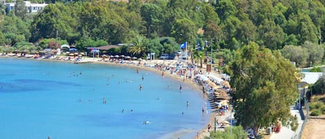 Playa en los alrededores