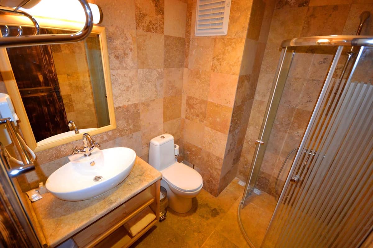 shower, free toiletries, hair dryer, slippers