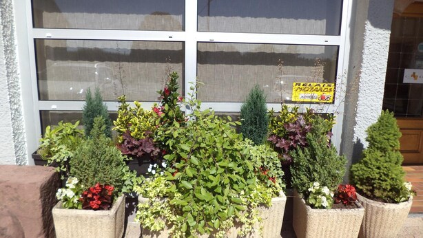 Un escaparate con amplios ventanales y plantas en macetas.