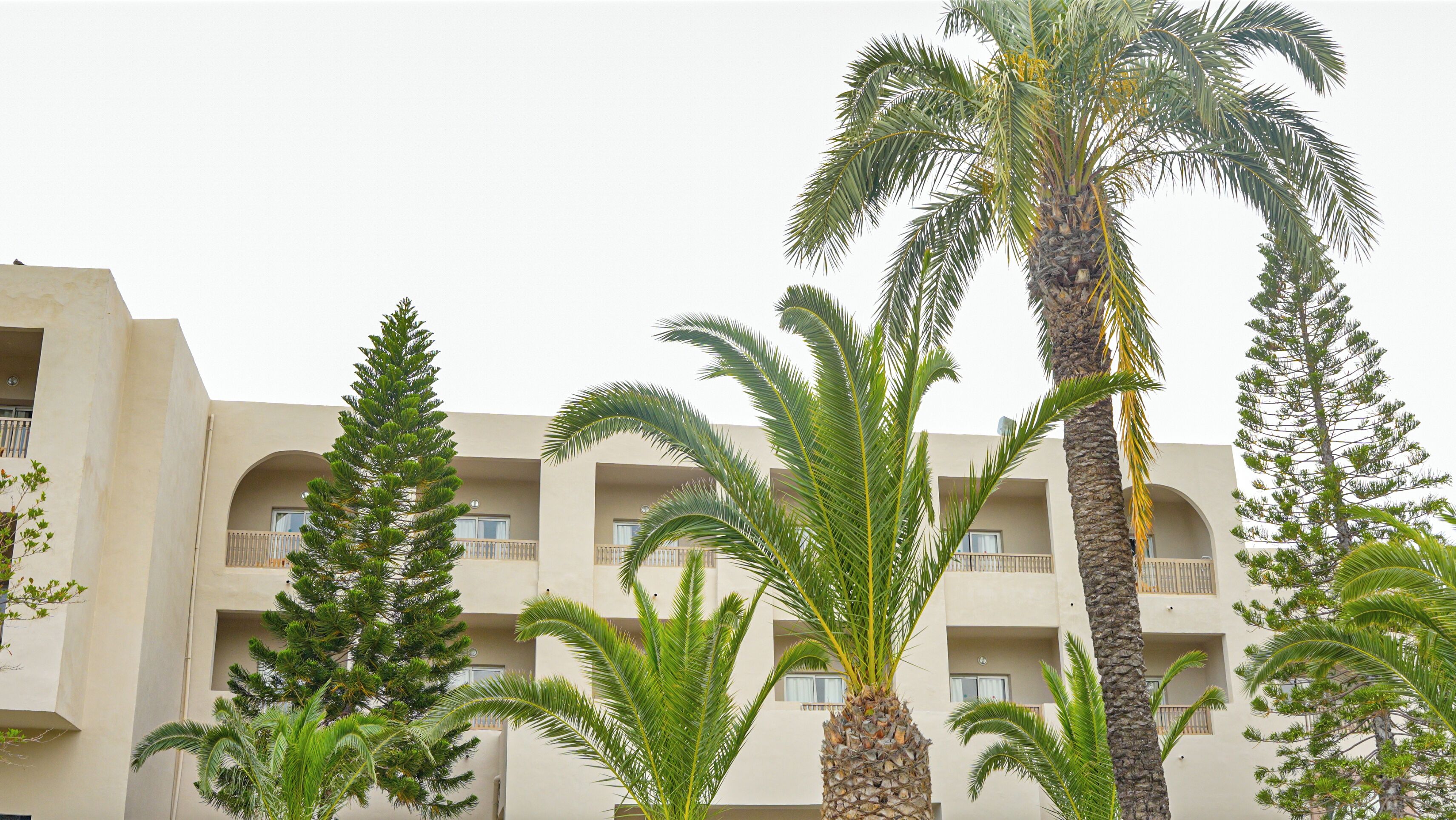 Foto - TUI SUNEO Palm Beach Skanes - All Inclusive