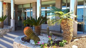 Een gebouwtrakt met een stenen gevel, grote glazen ramen en een cactustuin.