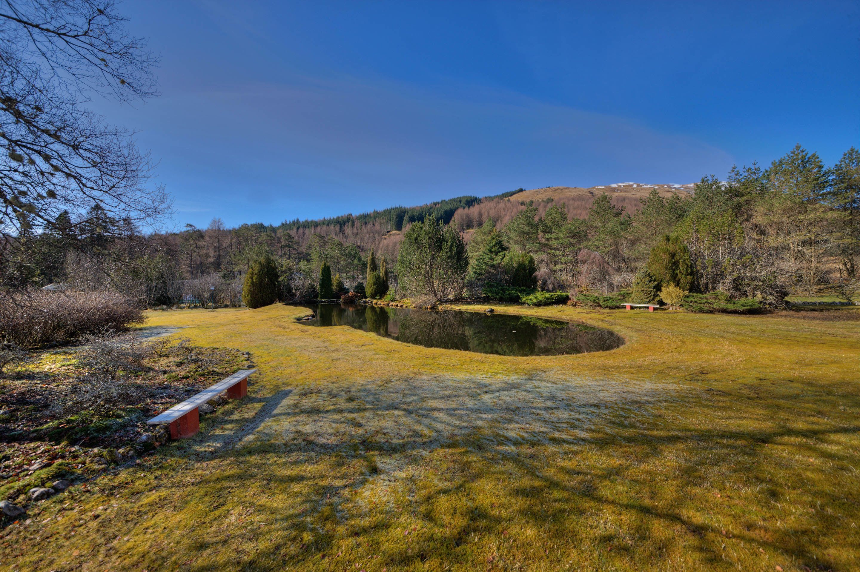 A natural landscape with a pond, trees, and a bench.