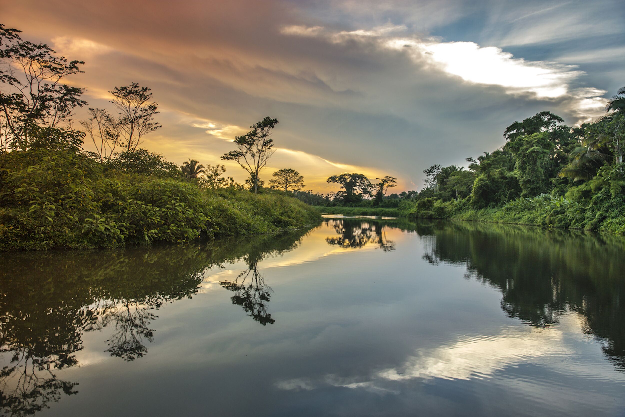 Un río tranquilo que refleja árboles y un cielo nublado.