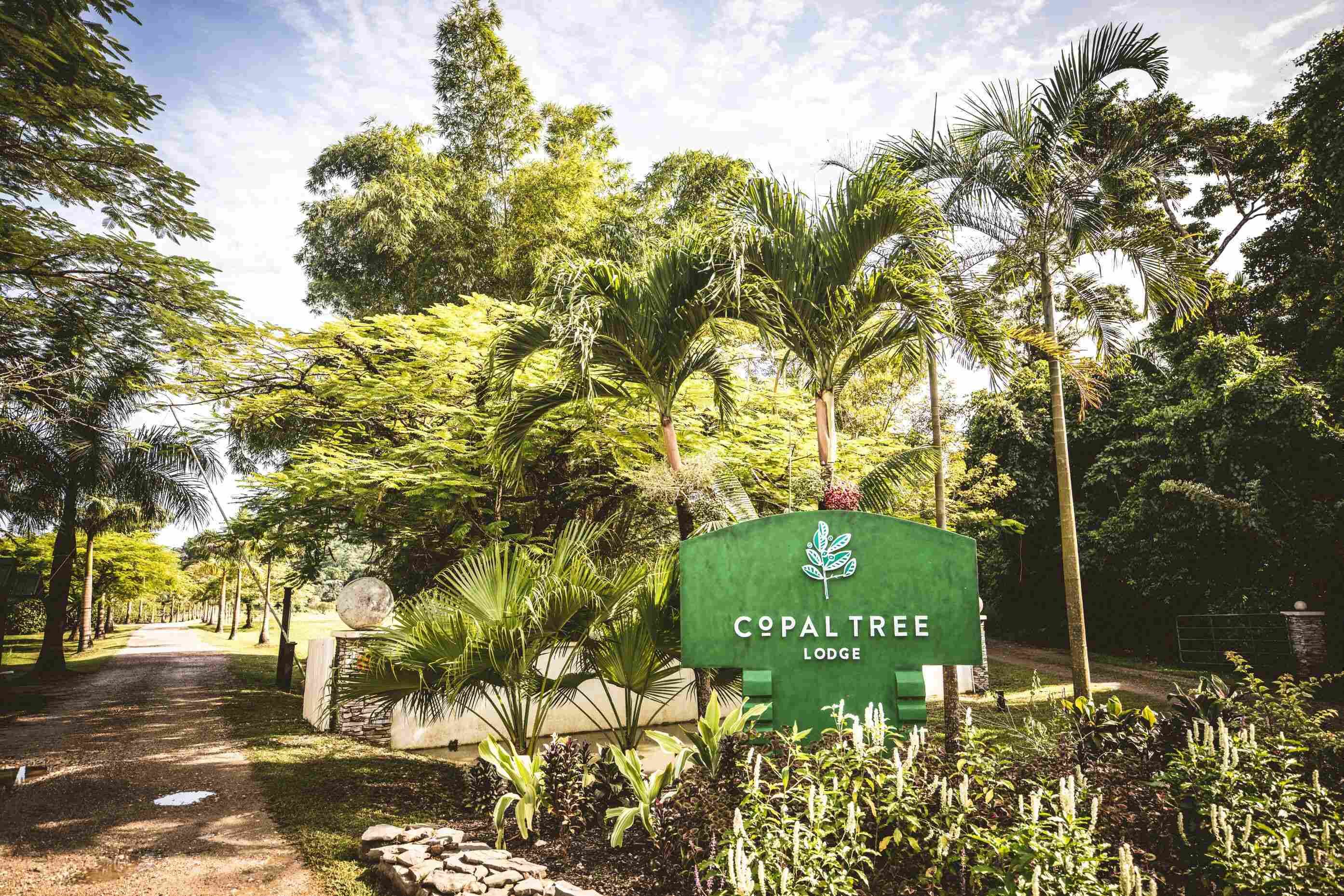 A sign for 'Copal Tree Lodge' with a pathway leading through a tropical garden.
