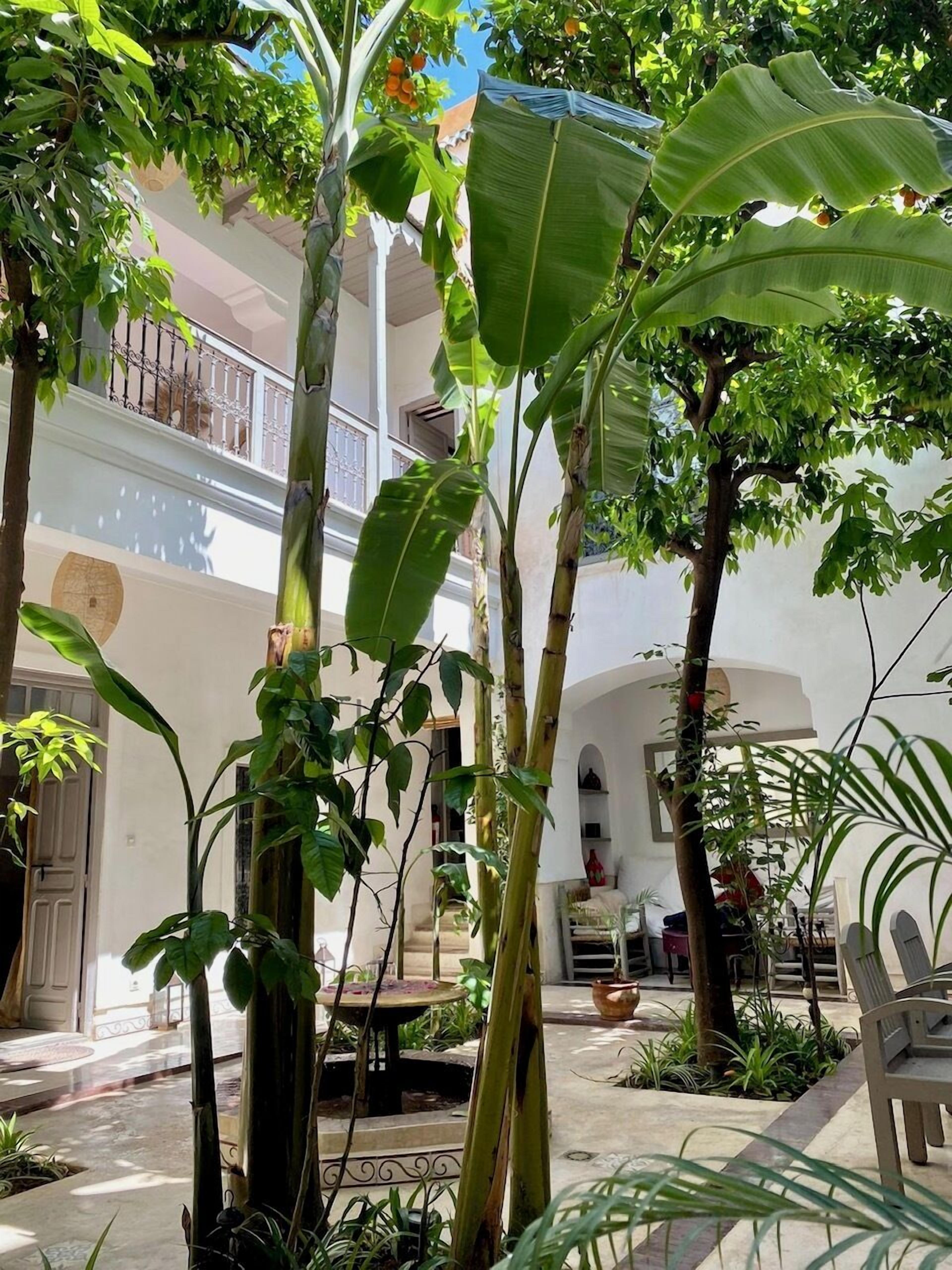 Photo - Riad Dar Aman