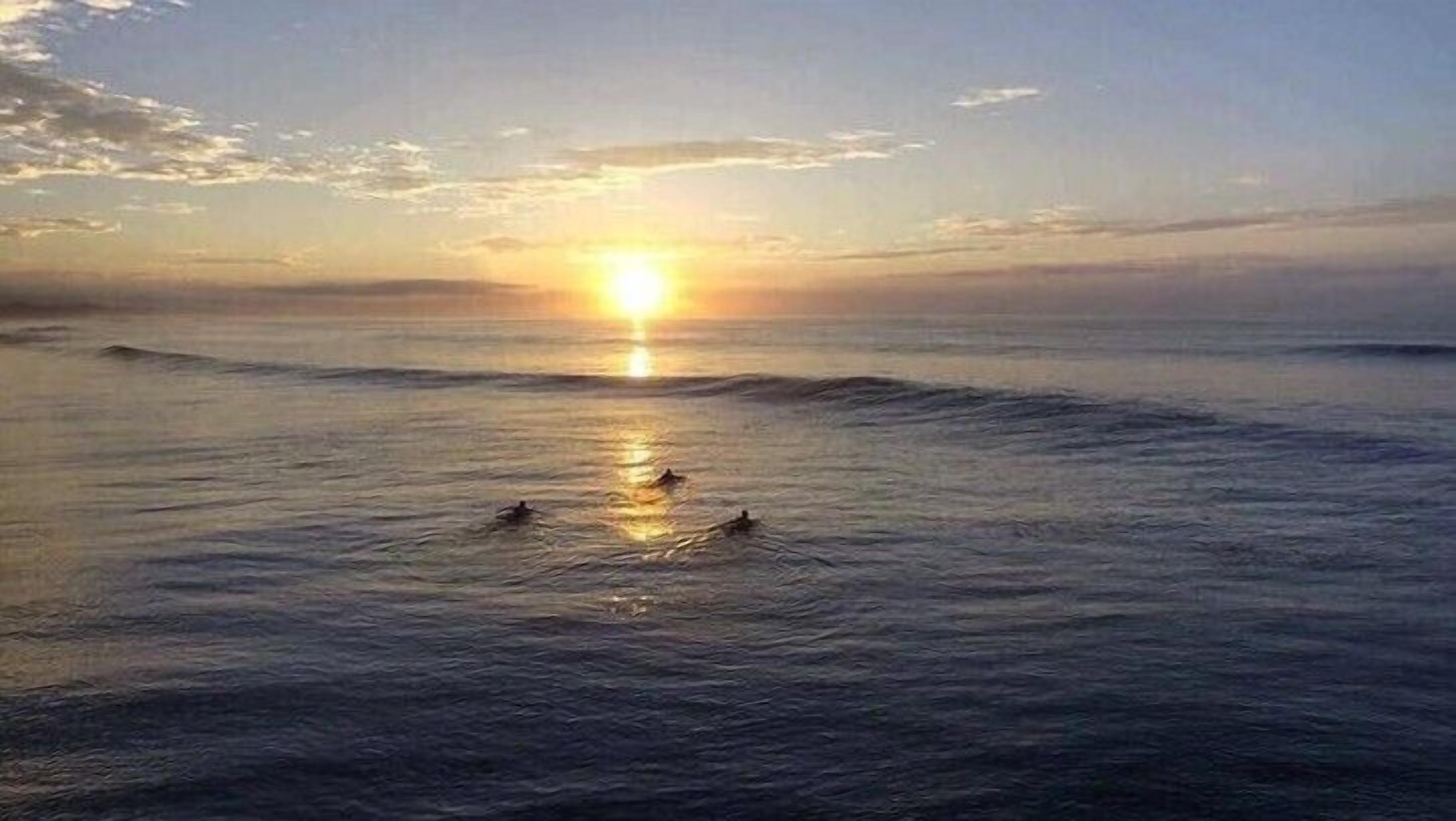 on the beach, surfing