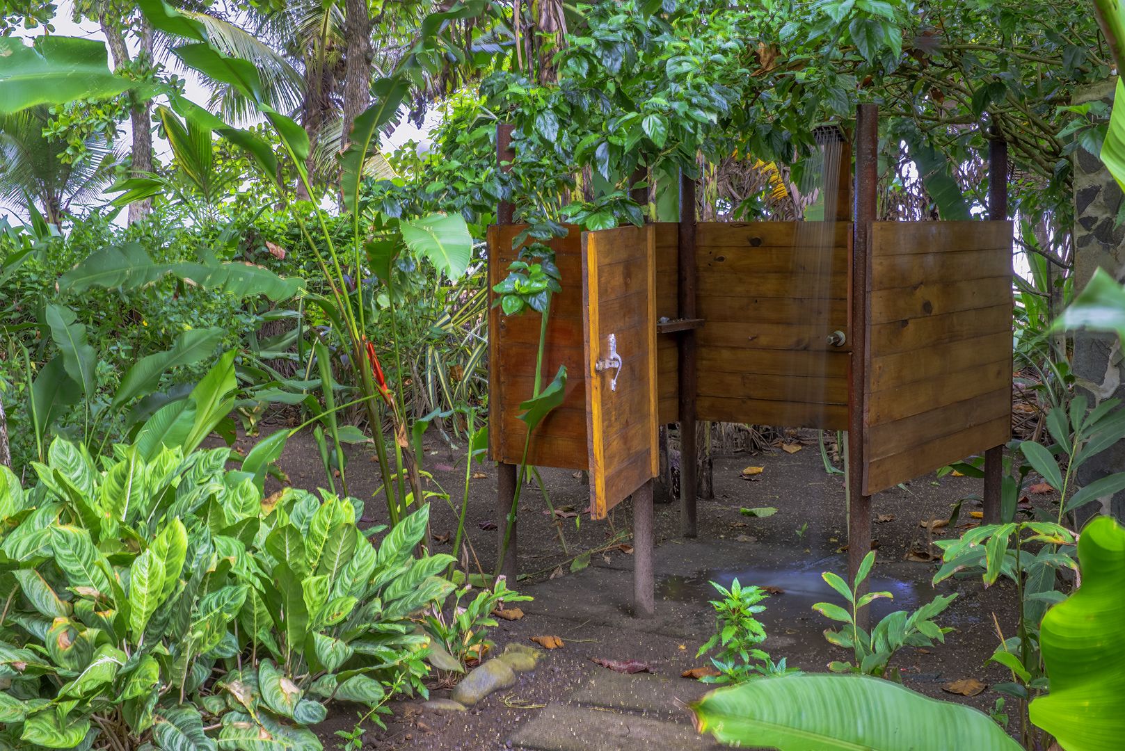 comfort villa | garden view