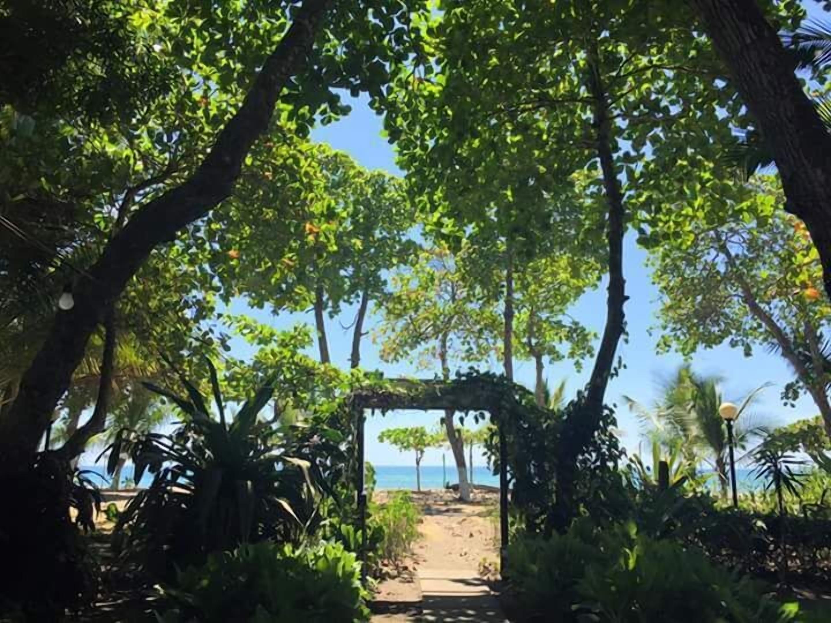 on the beach, surfing
