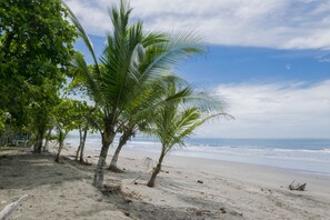 A beach with palm trees and a clear sky. - Hotel Rancho Coral (Parrita)