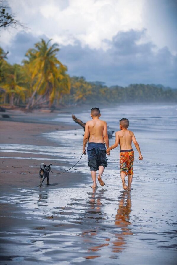 Ubicación a pie de playa y surf