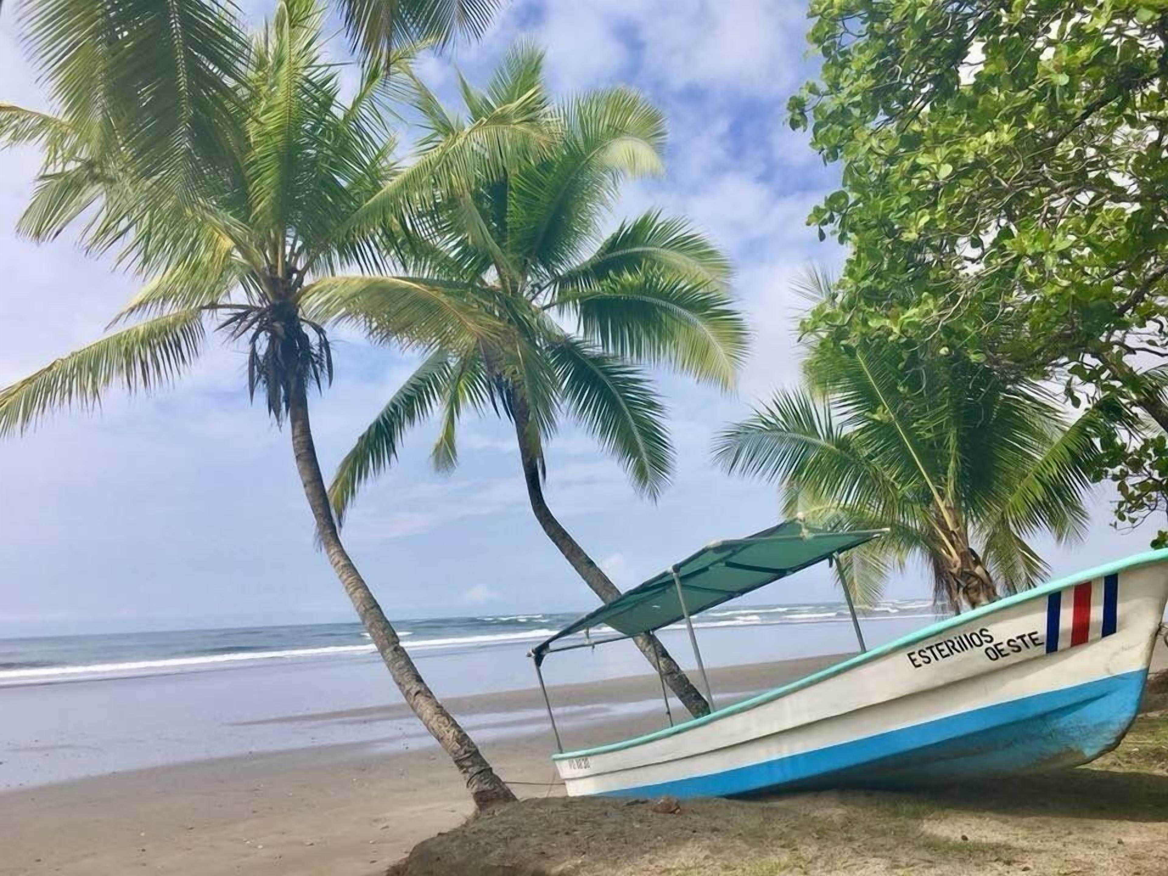 on the beach, surfing