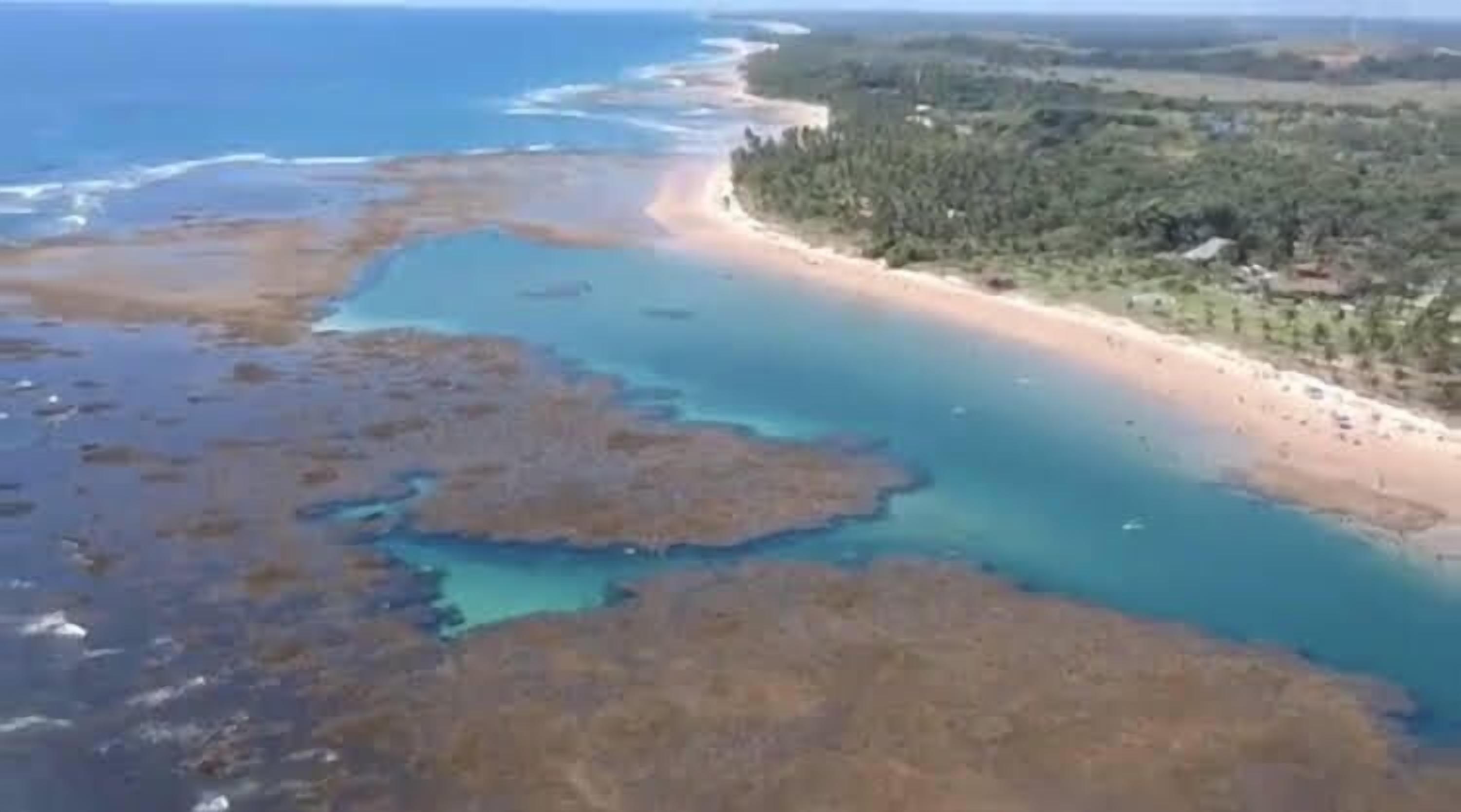An aerial view of a coastal area with a sandy beach, a forested area, and a body of water with visible landforms.